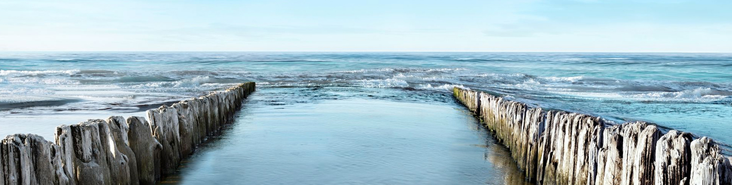 LA PSICOTERAPIA M�S AVANZADA ADAPTADA A TUS NECESIDADES