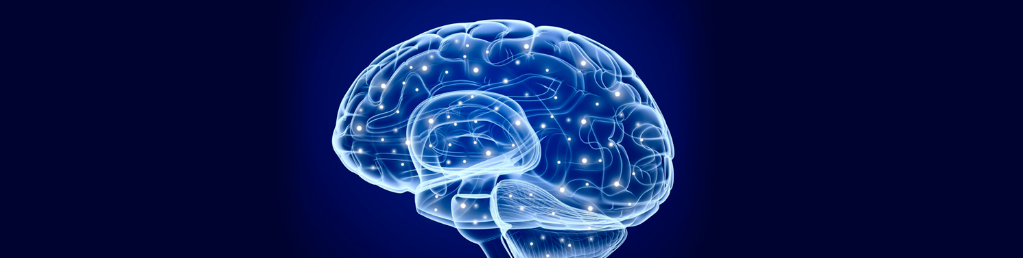 UNA HERRAMIENTA DE LA REGULACIN EMOCIONAL, ENTRENA TU CEREBRO PARA TU SALUD Y XITO